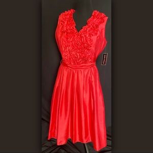 Jessica Howard dress